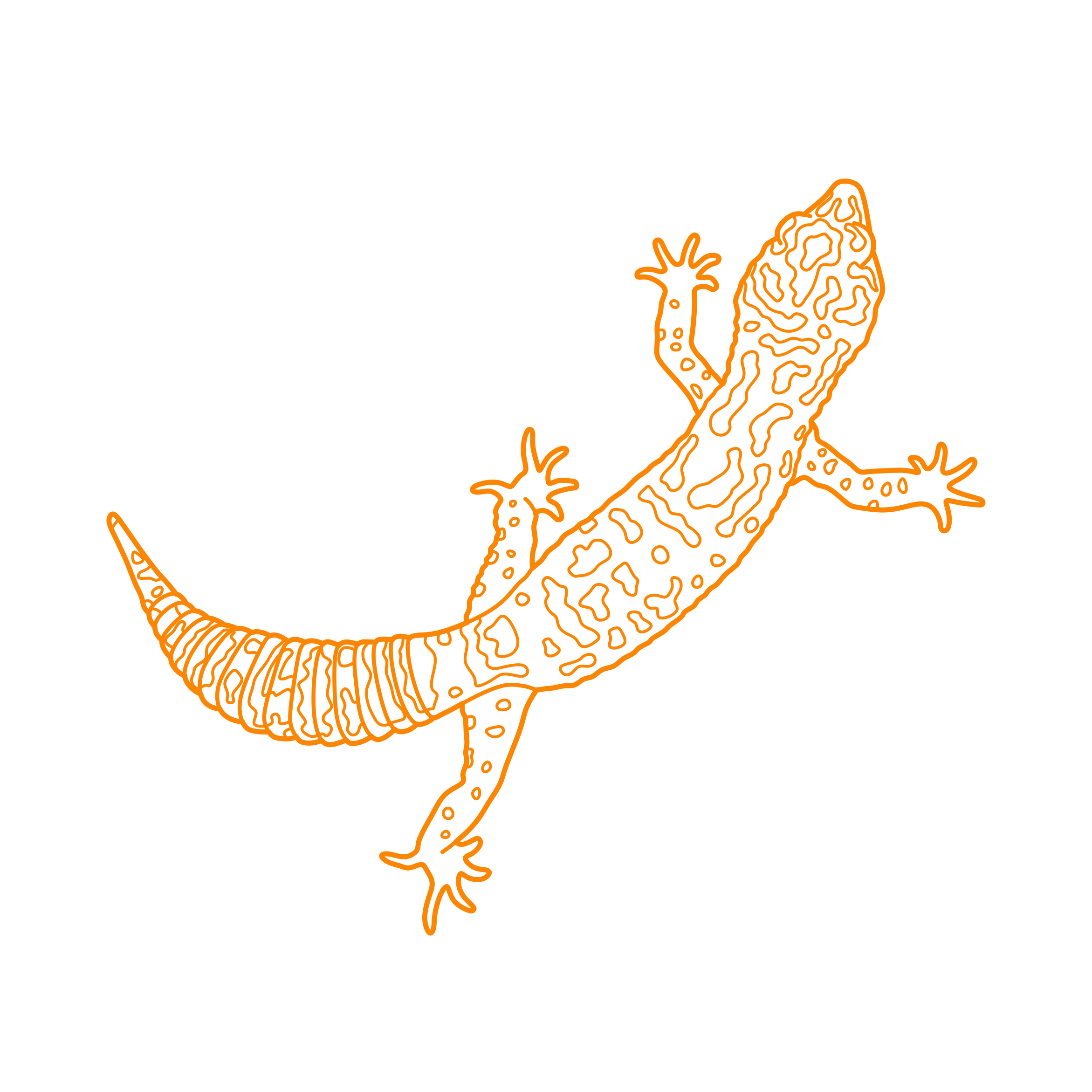 Animals Lizards Common Leopard Gecko Editable Svg Line Art Free Vectors